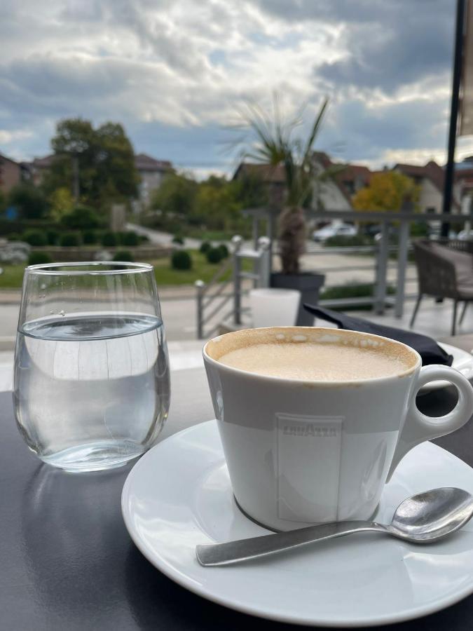 Apartman Dreamhome Vrnjačka Banja Exteriér fotografie