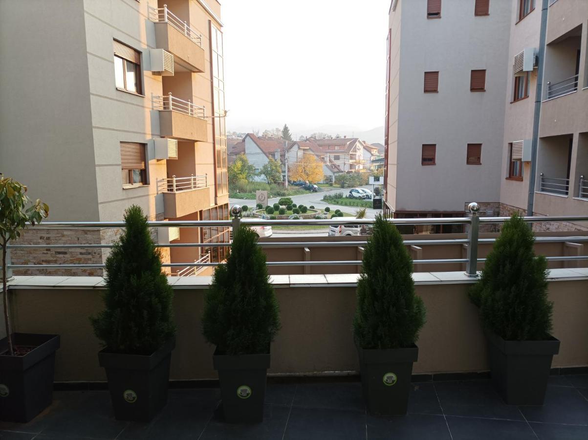 Apartman Dreamhome Vrnjačka Banja Exteriér fotografie